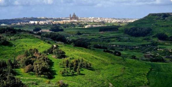 Picture Perfect Gozo Tour